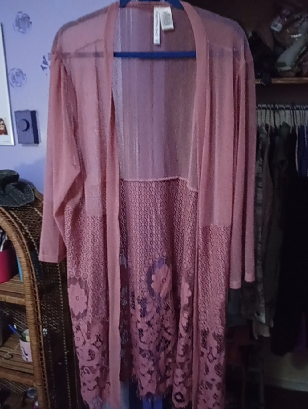 Forgotten Grace Sheer Rose Pink Floral Lace Kimono